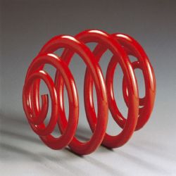 Federnsatz 30 mm 1.000kg/845kg