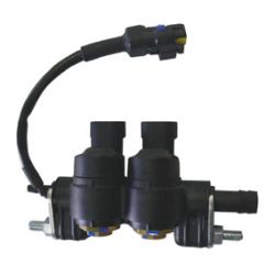 Rail mit 2 Injectoren und Temperatursensor