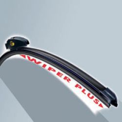 FLACHBLATTW. FAHRER